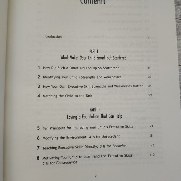 Smart But Scattered Boost 4-13 Childs Ability Executive Skills Reach Potential - Picture 5 of 16